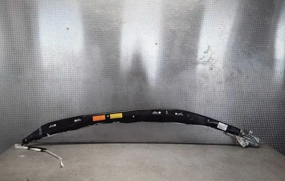 Peugeot 607 Roof airbag 963485538003