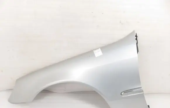 Mercedes-Benz S W220 Fender