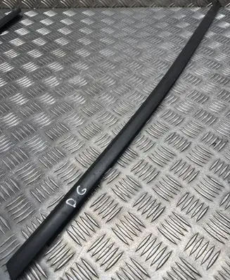 Rear door glass trim molding