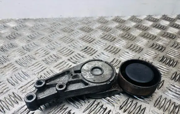Audi A4 S4 B6 8E 8H Alternator belt tensioner 06B903133