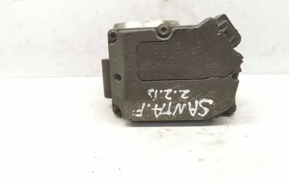Throttle body valve