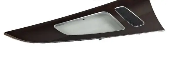 Other rear door trim element