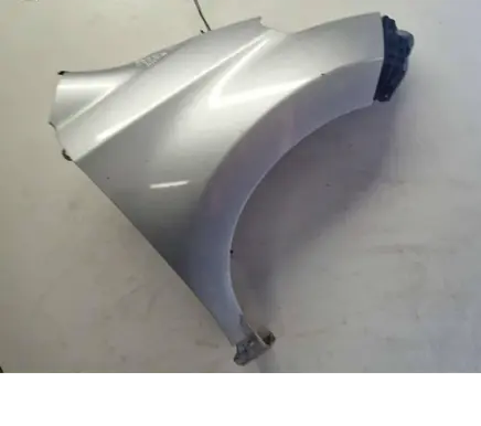 Toyota Urban Cruiser (XP110) Fender