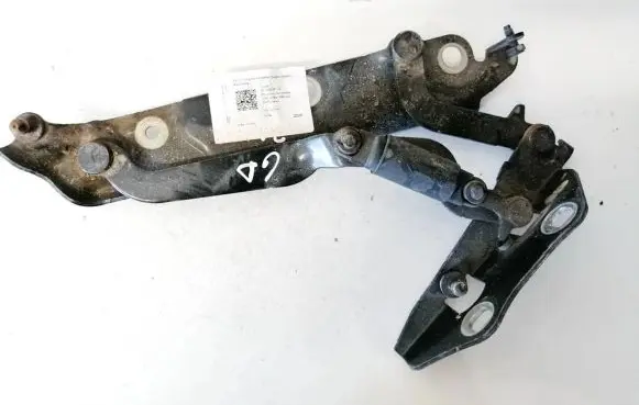 Tailgate/trunk/boot hinge