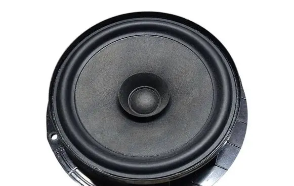 Rear door speaker