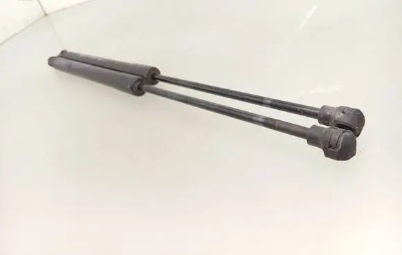 Dacia Sandero II Tailgate/trunk strut/damper 904529943R
