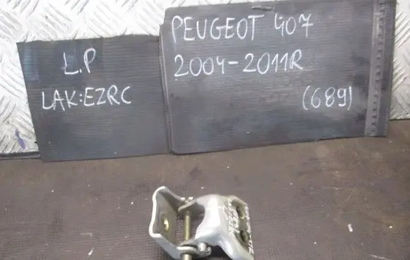 Peugeot 407 Front door lower hinge 