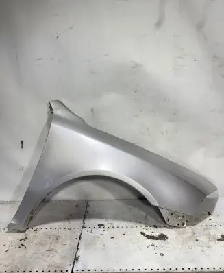 Skoda Octavia Mk2 (1Z) Fender