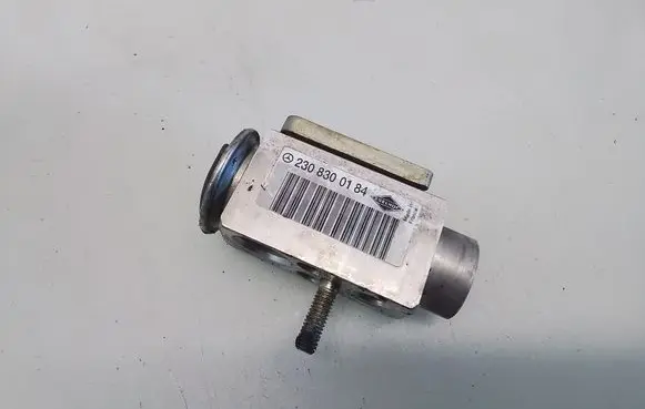 Mercedes-Benz S W220 Air conditioning (A/C) expansion valve 2308300184