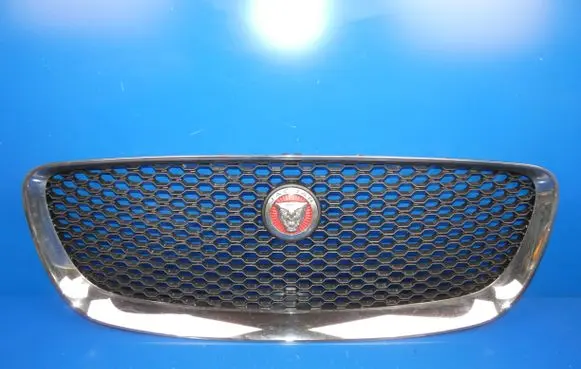 Jaguar F-Pace Front grill HK838B271BA