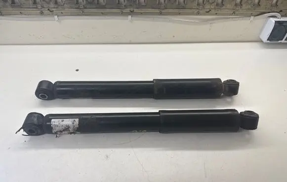 Volkswagen Transporter - Caravelle T5 Rear shock absorber/damper 313031 301700313031