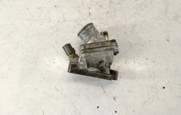 Thermostat/thermostat housing