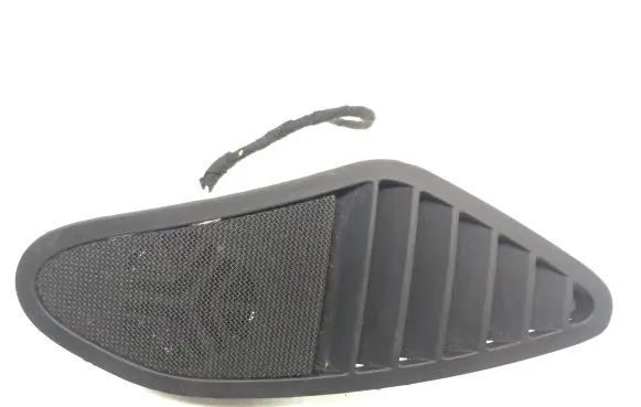 Panel speaker