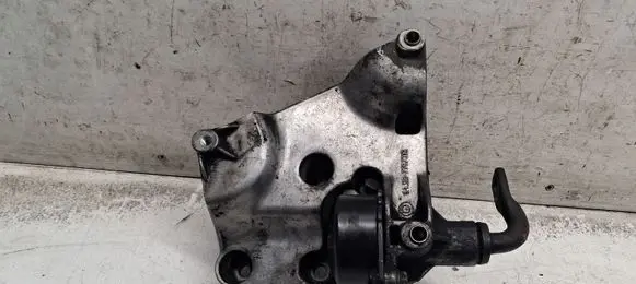 BMW 3 E46 Alternator belt tensioner 7787319
