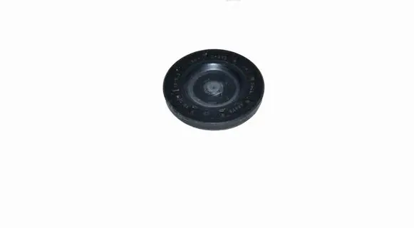 Iveco Daily 6th gen Timing chain cover 504348650