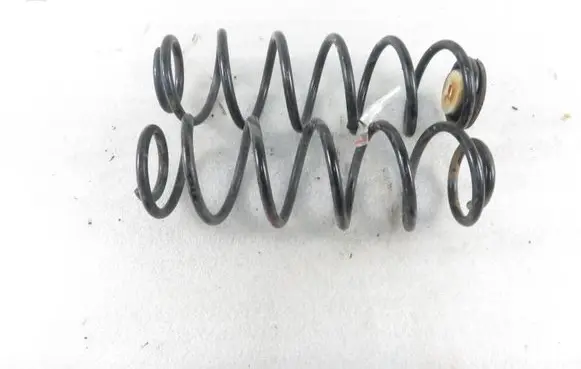 Peugeot 307 Rear coil spring 