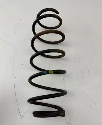 Rear coil spring