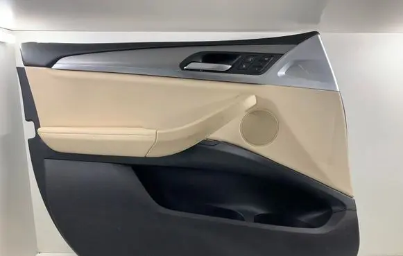 BMW X3 G01 Front door card panel trim 6020972 5108745 7410281