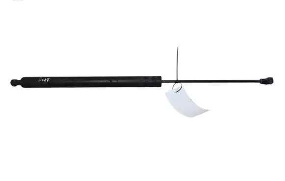 Tailgate/trunk strut/damper
