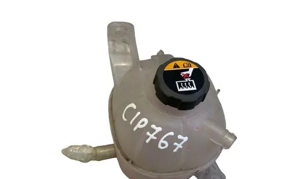 Hyundai Tucson IV NX4 Coolant expansion tank/reservoir 25430P0000