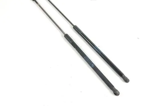 BMW X1 E84 Tailgate/trunk strut/damper 2990136