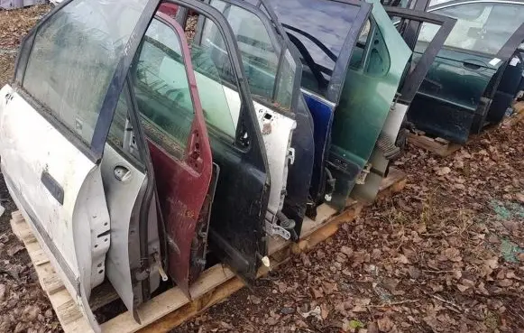 Mitsubishi Space Wagon Front door baltos