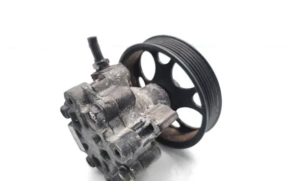 Chevrolet Captiva Power steering pump B2E46698