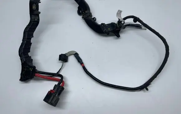 Front door wiring loom