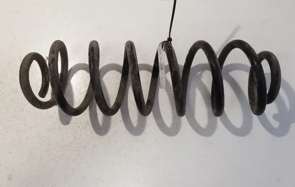 Rear coil spring