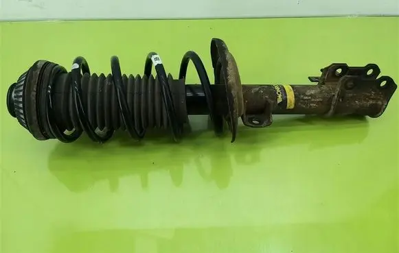 Opel Astra H Front shock absorber with coil spring G8001R