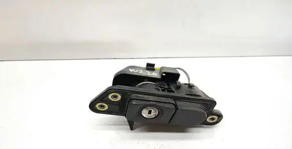 Mercedes-Benz S W220 Tailgate/trunk/boot exterior handle 2208210751