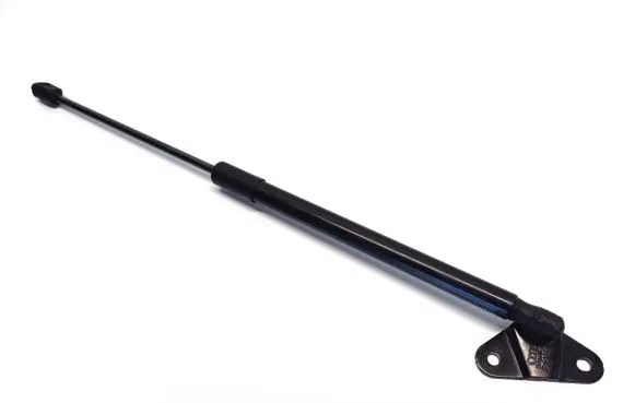 Tailgate strut