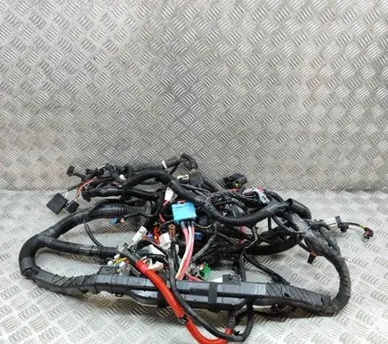 Other wiring loom
