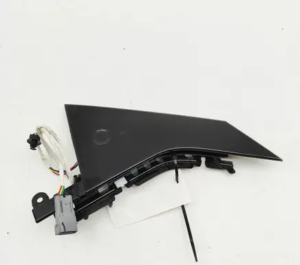 Ford Mustang Mach-E Rear door glass trim molding LJ8BR254A42AHW LJ8BR254A42BFW