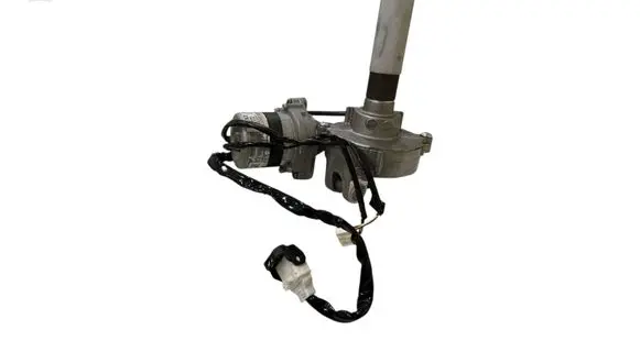 Electric power steering pump