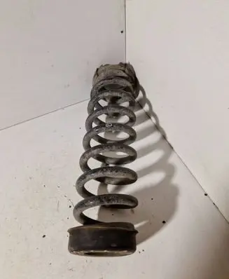 Rear coil spring