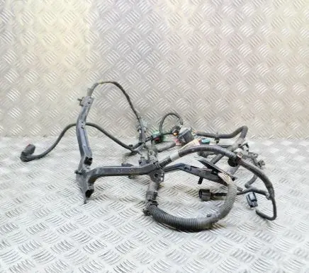 Tesla Model S Other wiring loom 100443002R 100443092R