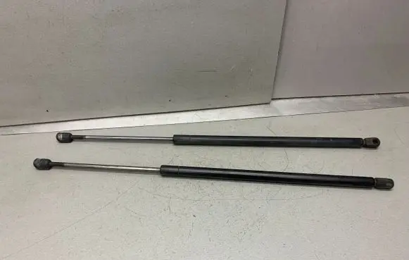 Tailgate/trunk strut/damper