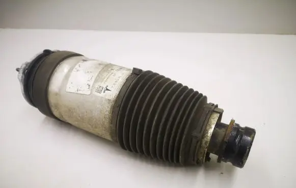 Tesla Model X Front air suspension shock absorber 102736100G A18A00670049 W309250003