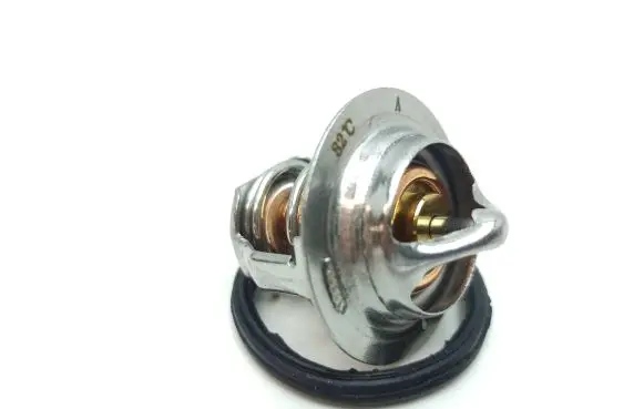 Aixam Scouty Thermostat 1532173014