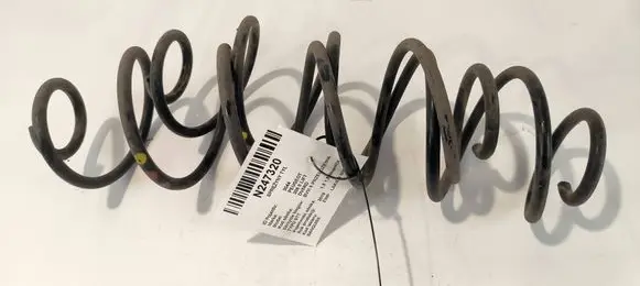 Rear coil spring