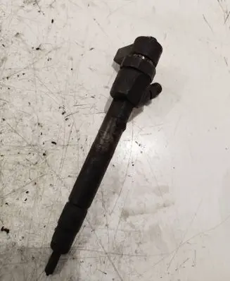 Mercedes-Benz E W211 Fuel injector 098643512