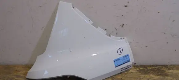 Fender trim (molding)