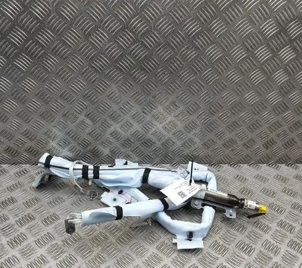 Tesla Model 3 Roof airbag 1744306CNH A025B583D