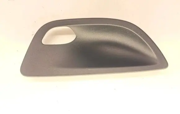 Other rear door trim element
