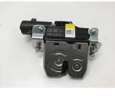 Hyundai Ioniq 5 Tailgate/trunk/boot lock/catch/latch 818L0GI100