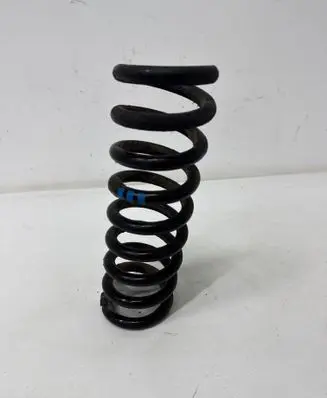 Rear coil spring