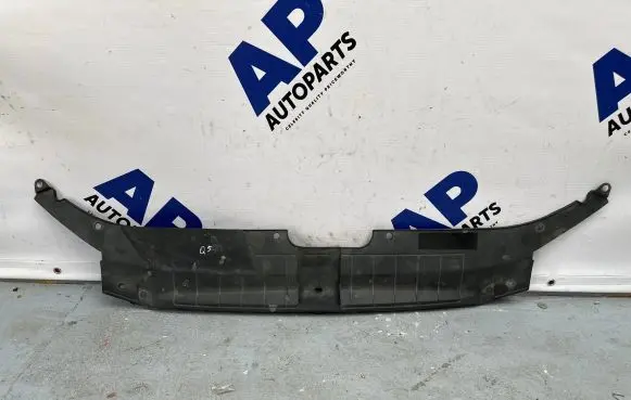 Audi Q5 SQ5 Radiator trim 8R0807081