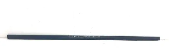 Renault Scenic II - Grand scenic II Rear door glass trim molding