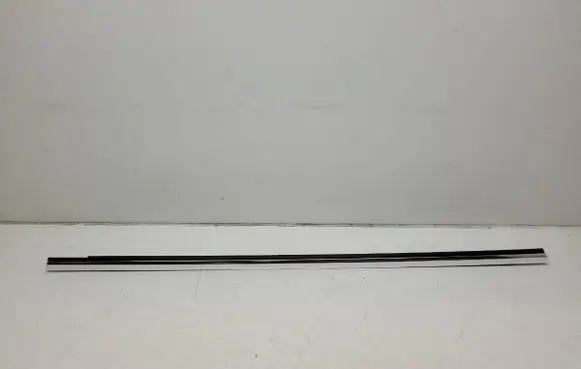 Rear door trim (molding)